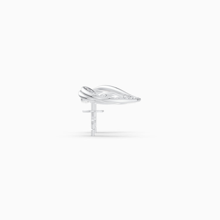 color:white | type:slider
