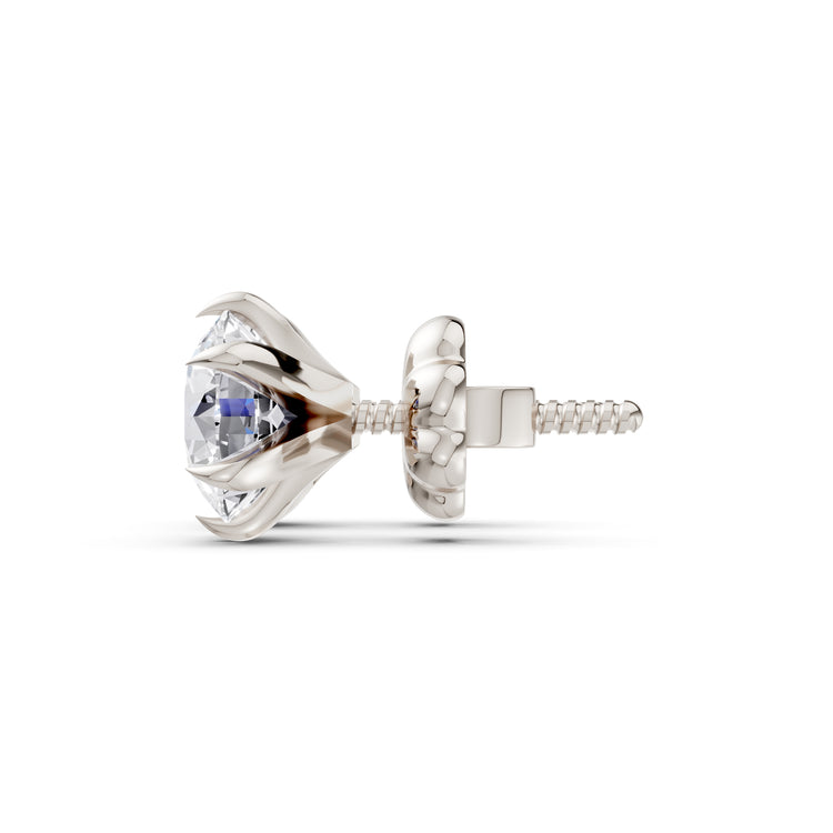 color:white | type:slider