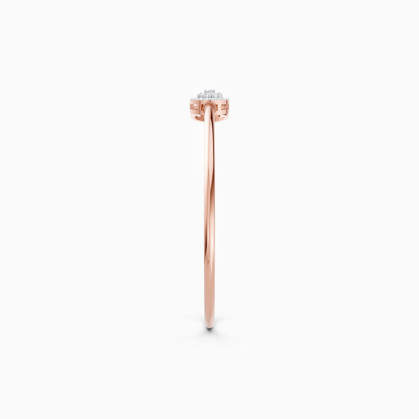 color:rose | type:slider