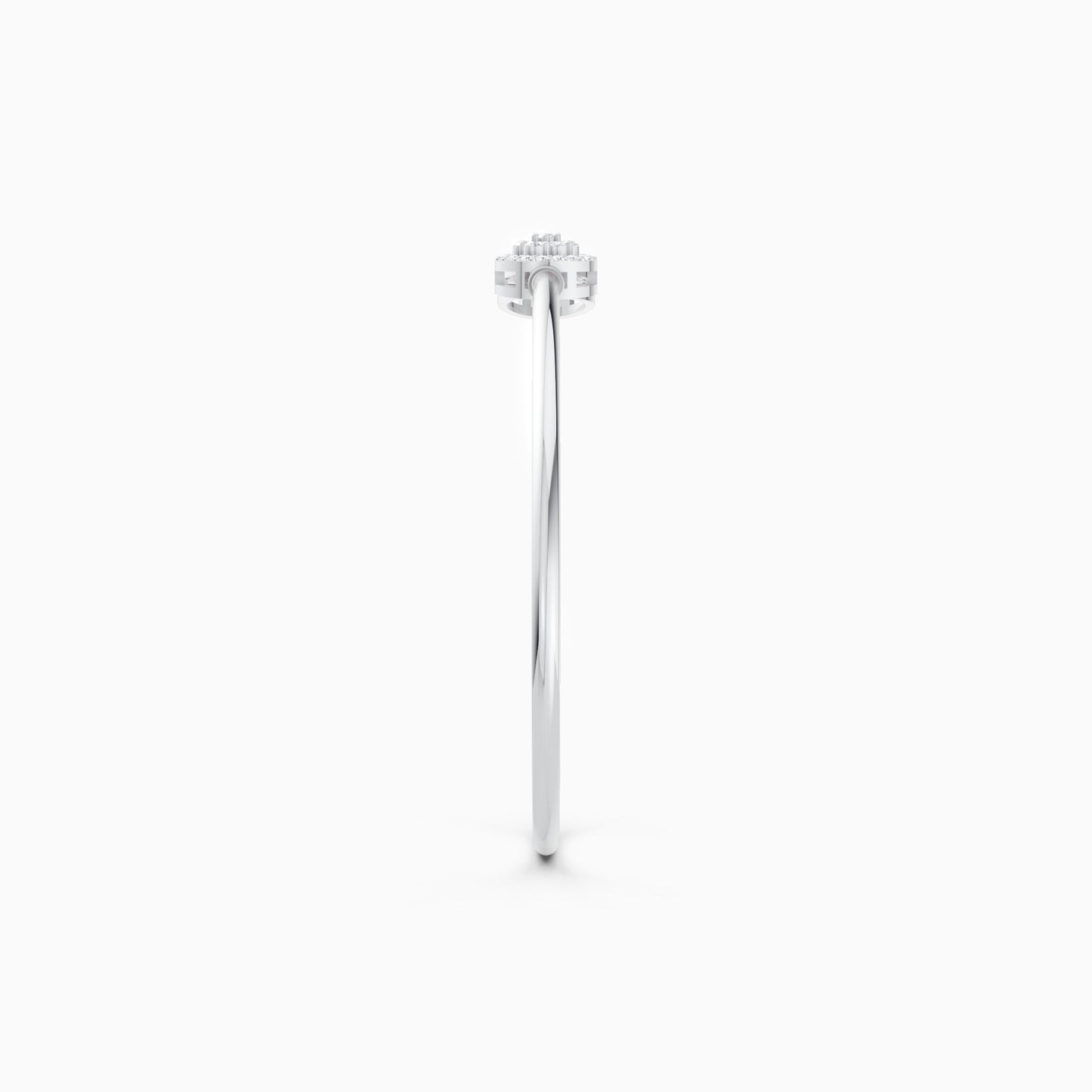 color:white | type:slider