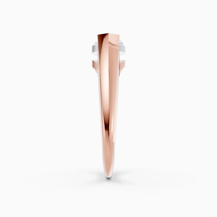 color:rose | type:slider