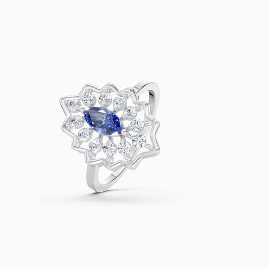 color:silver | type:slider