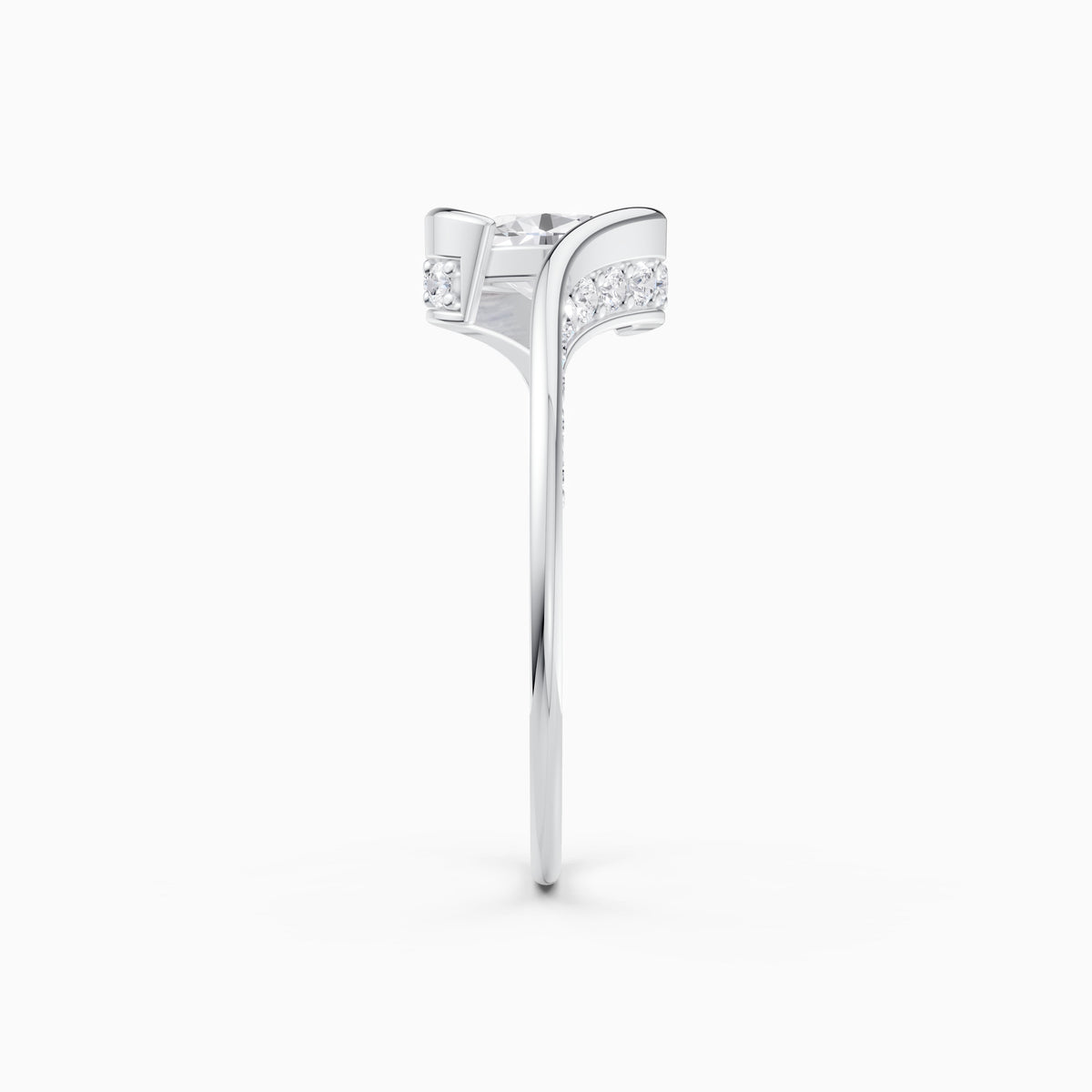 color:white | type:slider