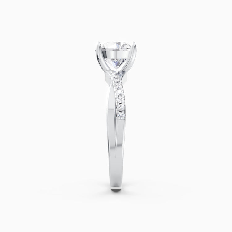 color:white | type:slider